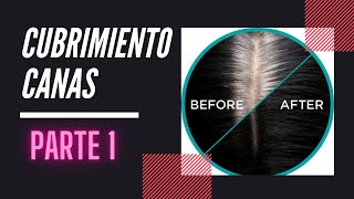 Formulación y cubrimiento canas resistentes  Prepigmentación [upl. by Lawford211]