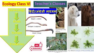 Ecads and Ecotype in Hindi Ecology Class 6BSc 3rd year CSIR NET SET College lecturer [upl. by Eynenihc]