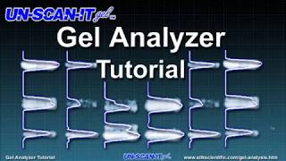 Gel Analyzer Tutorial [upl. by Anemij]