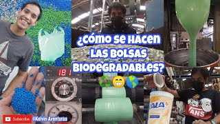 ¿Cómo se hacen las bolsas biodegradables ♻️😃 [upl. by Urd]