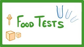 GCSE Biology  Food Tests Practicals 16 [upl. by Macintosh]