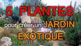 JARDIN EXOTIQUE  5 Plantes à Avoir ABSOLUMENT  Plantes Résistantes  Quelles Plantes Choisir 😜 [upl. by Oivatco682]