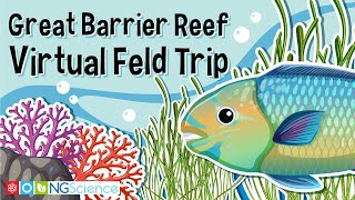 Great Barrier Reef – Virtual Feld Trip [upl. by Goldstein]