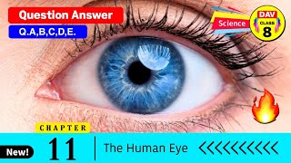 The Human Eye 👀 Dav Class 8 Science Chapter 11 Question Answer  Dav Public School  QABCDE [upl. by Trebeh]