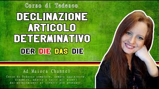 Lezione Tedesco 1  Cosè una declinazione  Declinazione articolo determinativo [upl. by Alim]