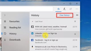 Clear Microsoft Edge Browsing History Quick amp Easy [upl. by Aronael]