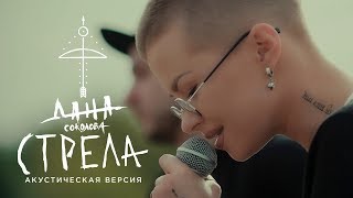 Дана Соколова  Стрела Акустическая версия [upl. by Machutte]