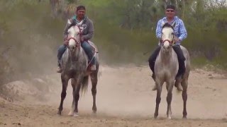 Carreras de Caballos  quotEl Cadetequot Grupo Laberinto [upl. by Ysnat279]