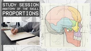 Drawing The Skull  Anatomy amp Proportions Study Session [upl. by Eerual99]