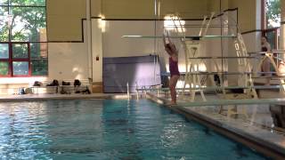 Teach a Flip for Springboard Diving [upl. by Keryt]