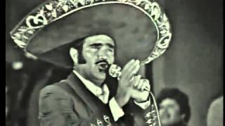 Vicente Fernandez Señora de tal En vivo [upl. by Partan]