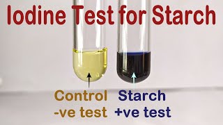 Iodine Test For Starch Practical Experiment [upl. by Acker]