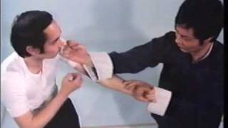 Wing Chun Basic Techniques part 1 [upl. by Killarney]