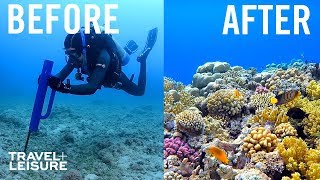 How Scientists Are Restoring The Great Barrier Reef  Travel  Leisure [upl. by Maclaine]