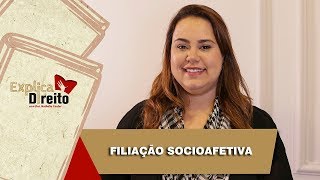 Explica Direito Filiação Socioafetiva  2019 [upl. by Cartwell911]