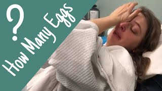 Shocking IVF Egg Retrieval Results [upl. by Aidin]