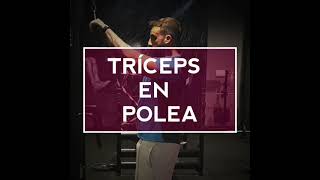 TRÍCEPS en polea alta  TÉCNICA CORRECTA [upl. by Abana]