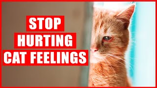 16 Things that EMOTIONALLY Hurt Your Cat [upl. by Learrsi]