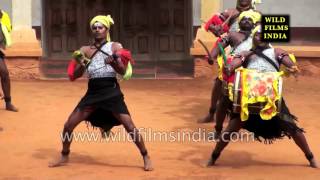 Dollu Kunitha  Folk dance of Karnataka [upl. by My]