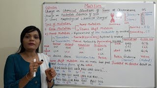 Class 29  Mutation Part 01  Introduction to Mutation and Types  Point amp Frameshift Mutation [upl. by Alekat]