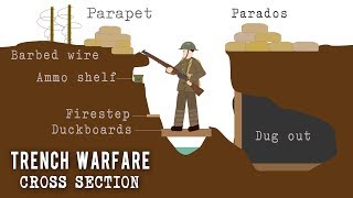 Trench Systems Cross Section [upl. by Gabriele989]