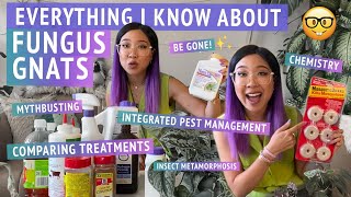 HOW TO PREVENT  GET RID OF FUNGUS GNATS  Plant pest management deep dive– everything I know 🤓 [upl. by Lulita]