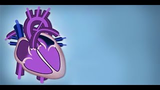 Fetal Circulation by L McCabe  OPENPediatrics [upl. by Pesvoh]