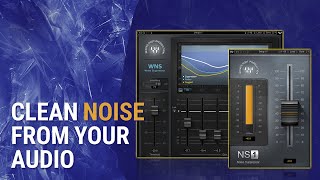 How To Clean Unwanted Noise in Audio Waves WNS  NS1 Tutorial [upl. by Eelyac]