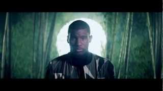 Wretch 32 ft Shakka  Blackout Official Video [upl. by Kowtko]