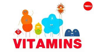 How do vitamins work  Ginnie Trinh Nguyen [upl. by Ahsemrac120]