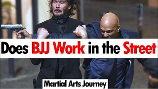 Does BJJ Work in the Street • Martial Arts Journey [upl. by Aissat]