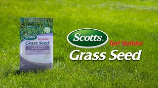 How to Use Scotts® Turf Builder® Grass Seed [upl. by Heim958]