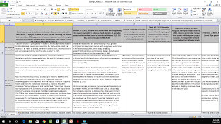 How to Create a Literature Matrix Excel [upl. by Adnilem]