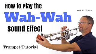 WahWah Sound Effect Trumpet Tutorial Plunger Mute [upl. by Britta708]