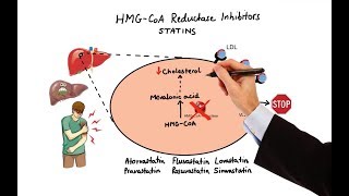 Pharmacology  DRUGS FOR HYPERLIPIDEMIA MADE EASY [upl. by Yoo602]