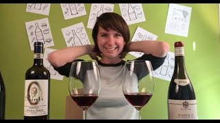 Two Nebbiolo Wines  Barolo vs Roero Riserva [upl. by Euginimod]