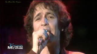 Rino Gaetano  A mano a mano Live 1981 [upl. by Ardnahs]