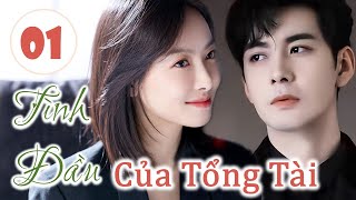 TÌNH ĐẦU CỦA TỔNG TÀI  Phần 1  Tổng Tài Theo Đuổi Người Yêu Cũ Sau Tám Năm Bản Đặc Biệt [upl. by Harikahs]