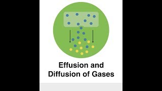 Effusion and Diffusion of Gases [upl. by Sherborne]