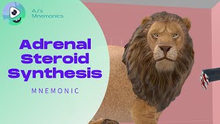 Adrenal Steroid Synthesis Pathway Mnemonic [upl. by Yecaw]