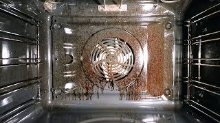 How to selfclean an oven My first test [upl. by Kimball]