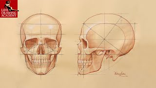 How to Draw a Skull [upl. by Anifur]