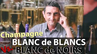 Blanc de Blancs Vs Blanc de Noirs Champagne Where’s the Difference [upl. by Nawk486]