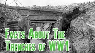 Trench Warfare Facts  The Trenches of WW1 [upl. by Topliffe501]