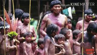 YANOMAMI VILLAGE TRIBE PEOPLE LAND amp CULTURE IN THE AMAZON RAIN FOREST [upl. by Aicinoid]