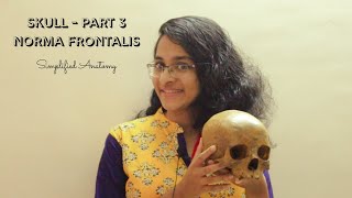 SKULL PART 3  NORMA FRONTALIS  ANATOMY  SIMPLIFIED ✔ [upl. by Doty]