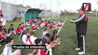 Domenech y las pruebas de Infantiles en River [upl. by Aerdnak894]