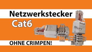 Netzwerkstecker CAT6 RJ45 [upl. by Hnahc598]