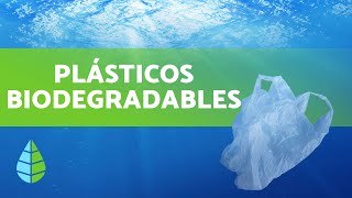 ¿Qué son los PLÁSTICOS BIODEGRADABLES [upl. by Trout]