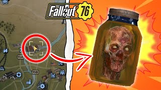 Top 10 Fallout 76 Locations With the Rarest Items YOU NEVER KNEW [upl. by Myrah]